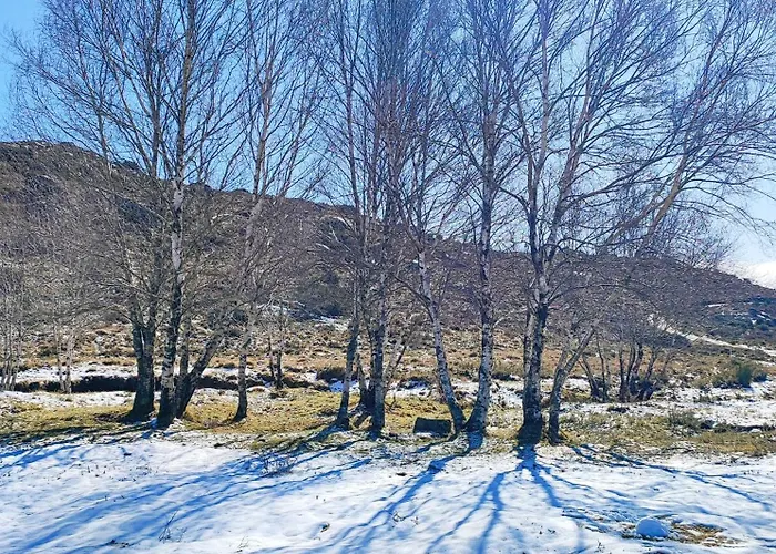 Dom wakacyjny Casas Da Assureira