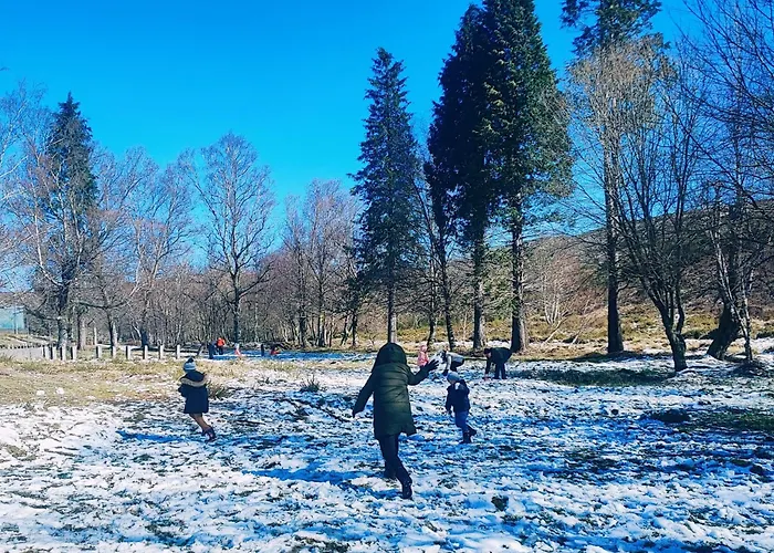 Dom wakacyjny Casas Da Assureira *